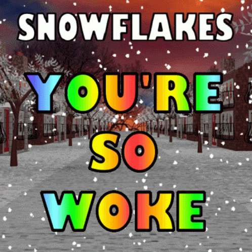 Snowflakes - you're so woke Gifs animés
