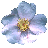 Fleur Icônes